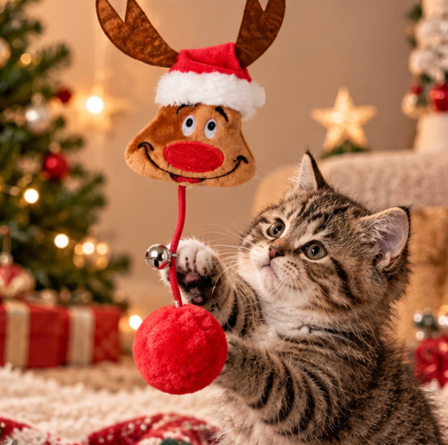 Lot de 6 jouets de Noël en peluche et corde pour chat