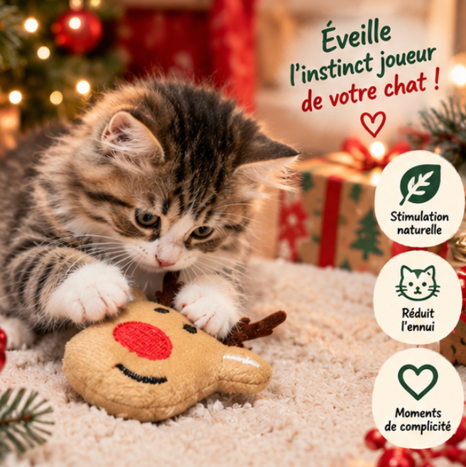 Lot de 9 jouets de Noël en peluche pour chat