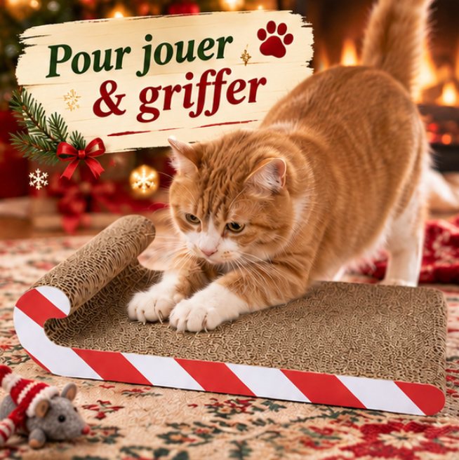 Griffoir luge de Noël en carton pour chat