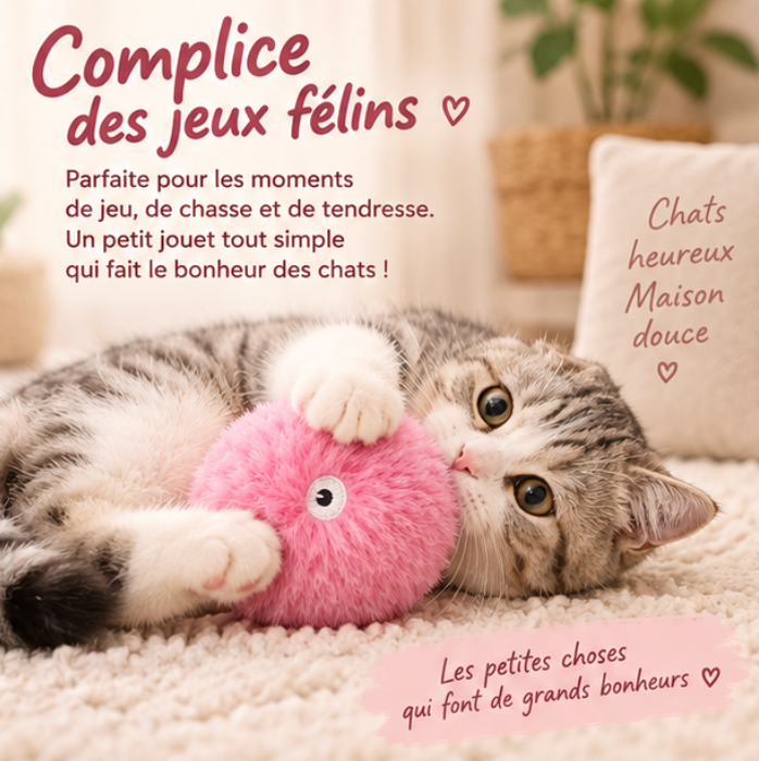 Balle sonore en peluche pour chat avec herbe à chat