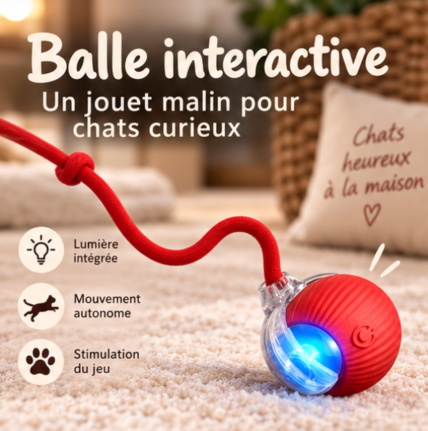 Balle roulante automatique pour chat avec queue de souris
