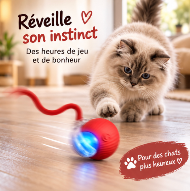Balle roulante automatique pour chat avec queue de souris