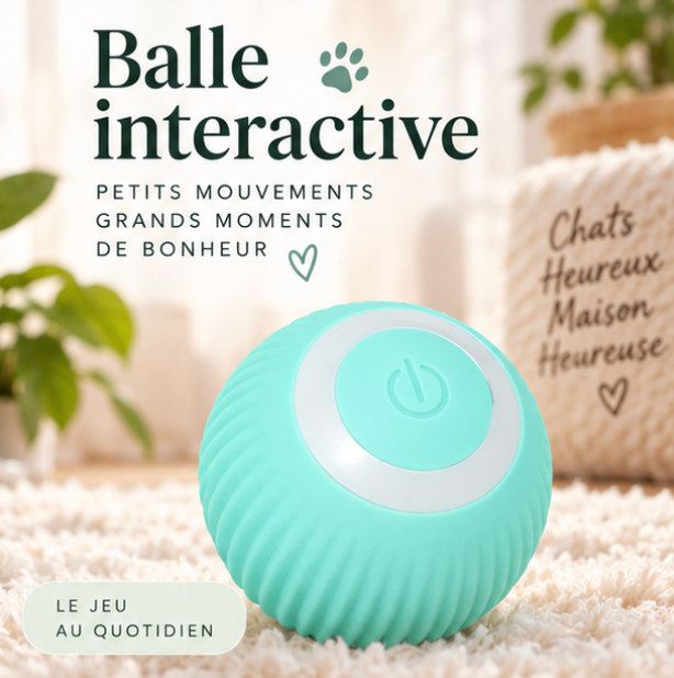 Balle roulante automatique rechargeable pour chat