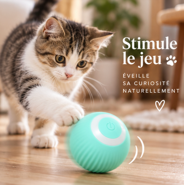 Balle roulante automatique rechargeable pour chat