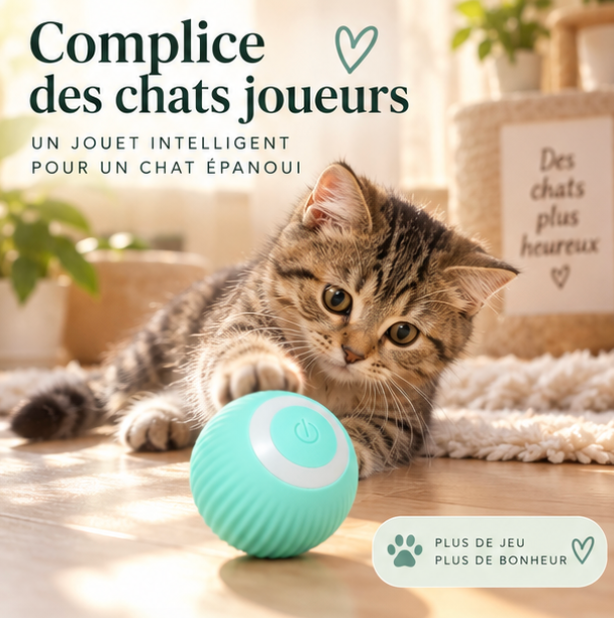 Balle roulante automatique rechargeable pour chat