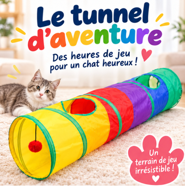 Tunnel de jeu pliable pour chat
