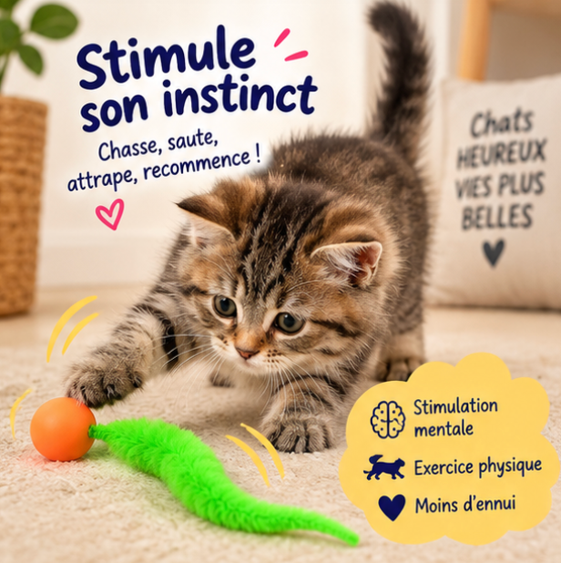 Set de 6 jouets chenille avec balles rebondissantes pour chat