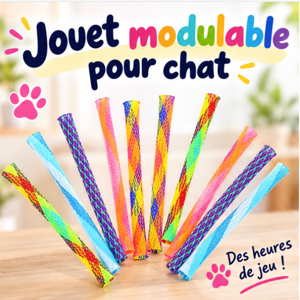 Jeu modulable pour chat – Lot de 10 pièces