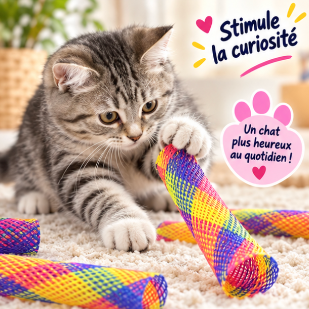 Jeu modulable pour chat – Lot de 10 pièces