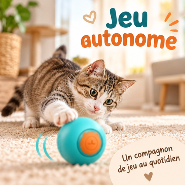 Balle interactive automatique à LED pour chat
