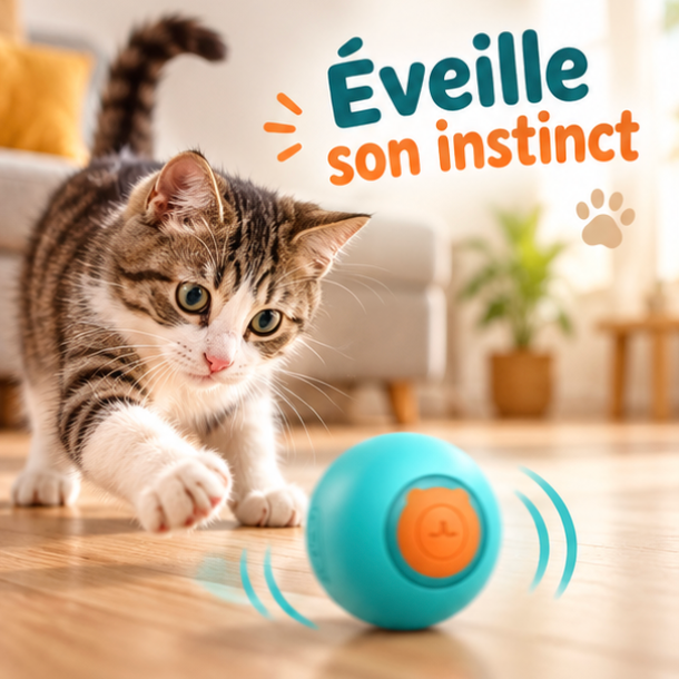 Balle interactive automatique à LED pour chat