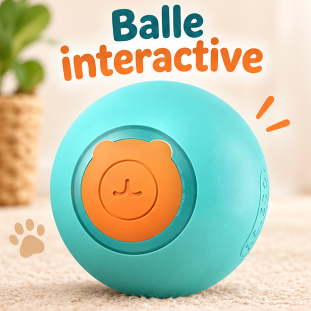 Balle interactive automatique à LED pour chat