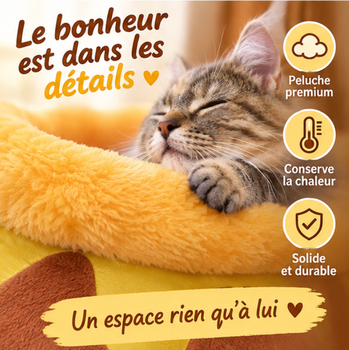 Niche pour chat en forme de pot de miel avec tapis moelleux