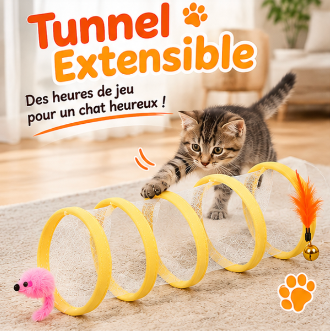 Tunnel pliable pour chat en maille avec souris et plumes
