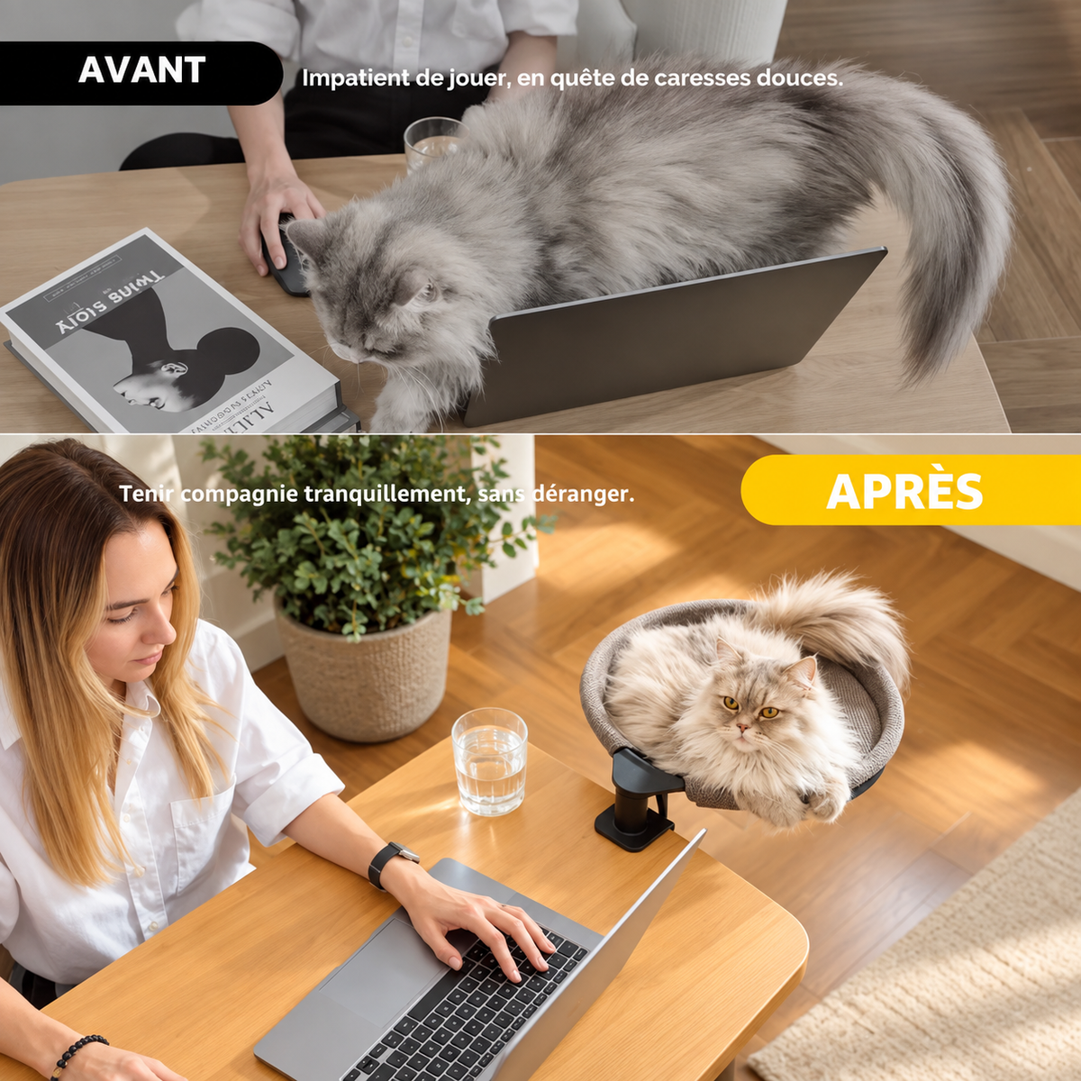 Hamac rotatif pour chat à fixer au bureau avec 2 tapis