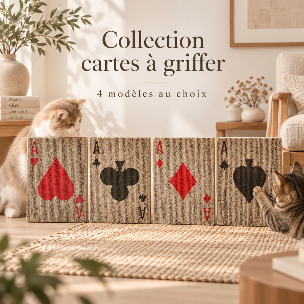Griffoir mural pour chat en carton – Motif carte à jouer
