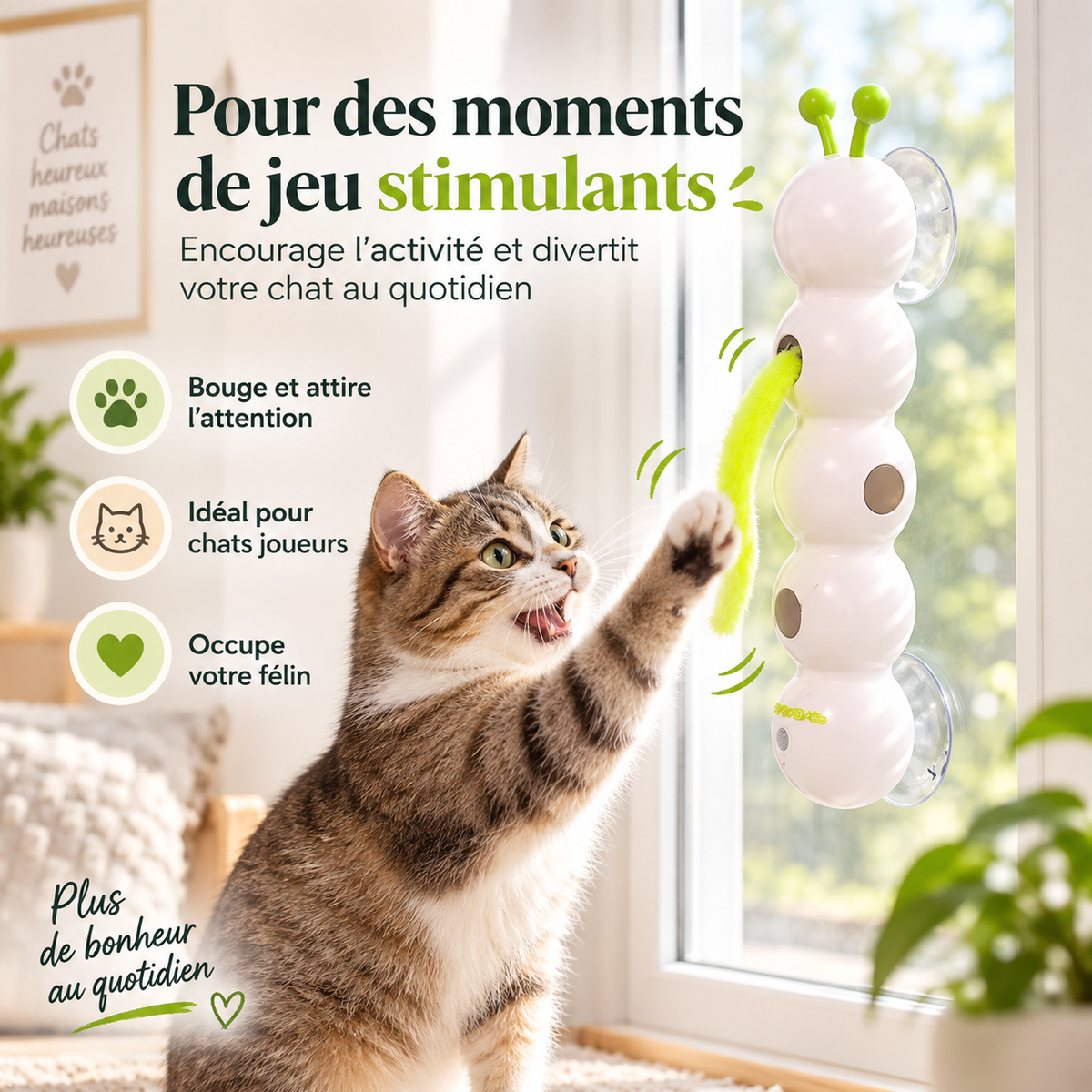 Jouet interactif à ventouses pour chat