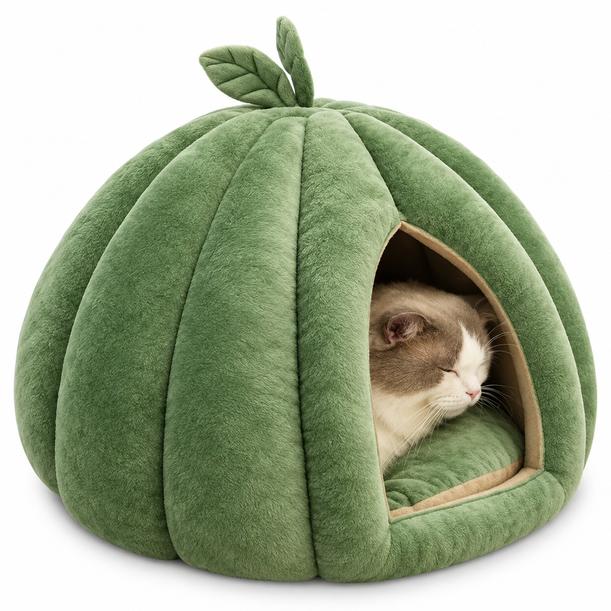 Niche citrouille pour chat avec coussin moelleux