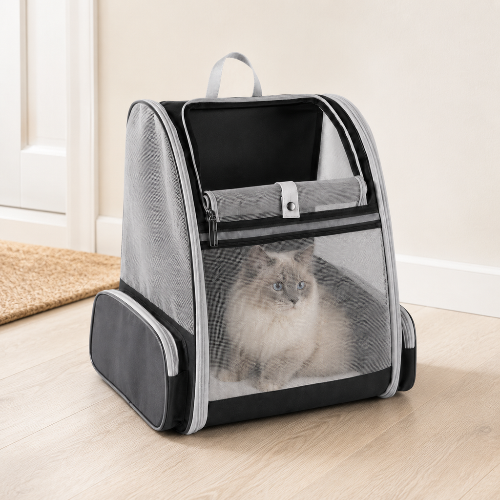Panier de transport pour chat pliable