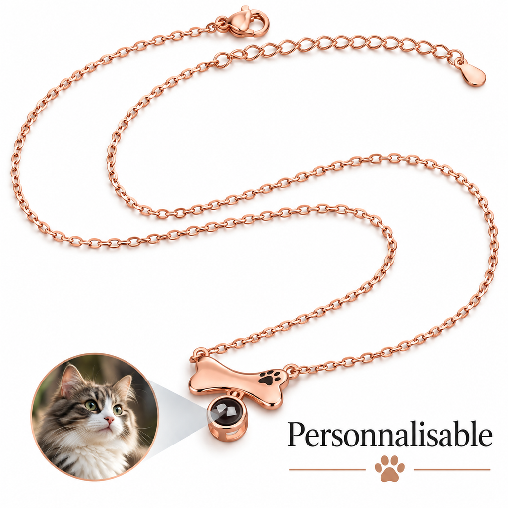 Collier cœur et patte personnalisé avec photo et prénom de votre animal